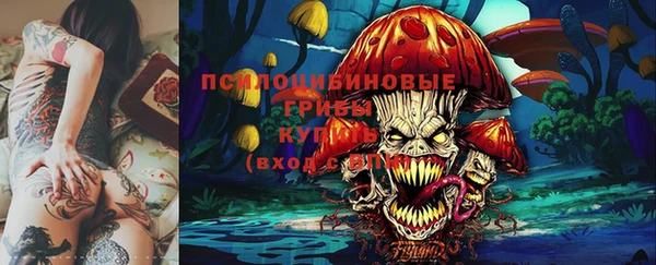 гидра Алексин