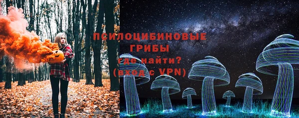 гидра Алексин