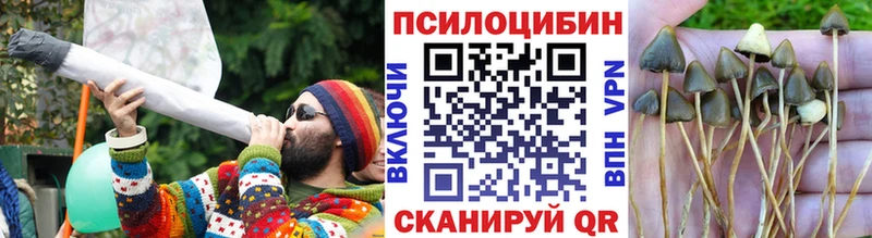 блэк спрут как зайти  Арамиль  Галлюциногенные грибы Cubensis 
